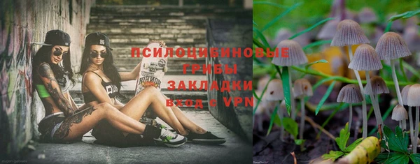 гидропоника Александровское